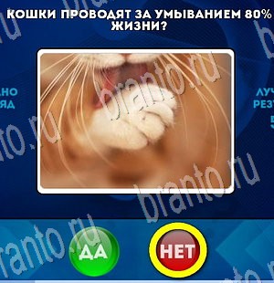 решебник на игру Да или Нет Уровень 3561