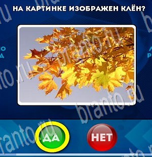 игра Да или Нет ответ на Уровень 3570
