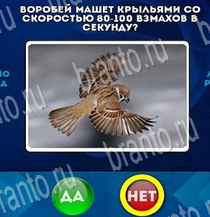 ответы к игре Да или Нет Уровень 3575