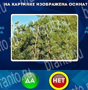 Да или Нет подсказки в контакте Уровень 3579