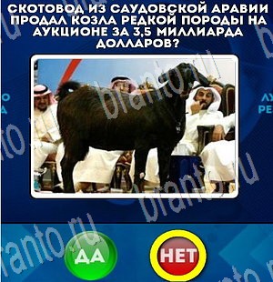Да или Нет ответы в картинках Уровень 3586