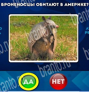 Подсказки на игру Да или Нет Уровень 3602