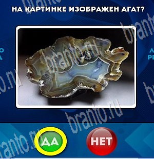 решебник на игру Да или Нет Уровень 3611
