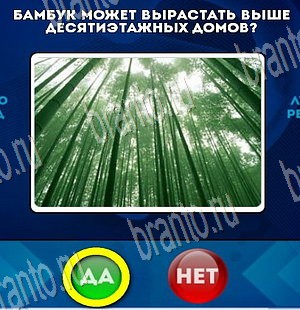Да или Нет игра подсказки Уровень 3624