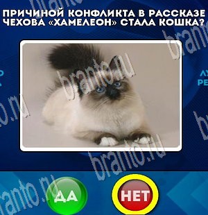 Да или Нет ответы в картинках Уровень 3686