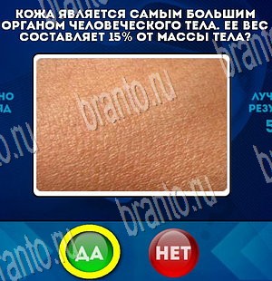 Игра Да или Нет ответы Уровень 3687