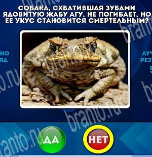 Подсказки на игру Да или Нет Уровень 3692