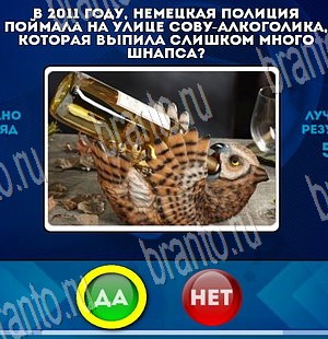 Да или Нет игра подсказки Уровень 3714