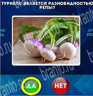 ответы к игре Да или Нет Уровень 3725