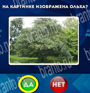 ответы на игру в одноклассниках Да или Нет Уровень 3726