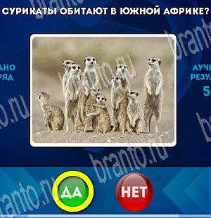 решебник на игру Да или Нет Уровень 3731