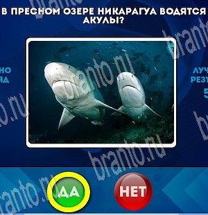 Да или Нет игра ответы Уровень 3733