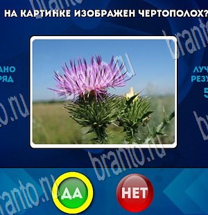 Игра Да или Нет ответы Уровень 3737