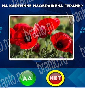 игра Да или Нет помощь Уровень 3739
