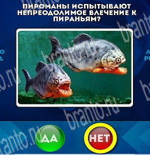 Да или Нет ответы в картинках Уровень 3766