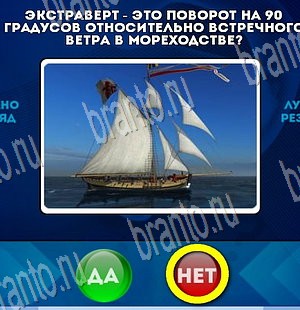 Да или Нет решения Уровень 3772