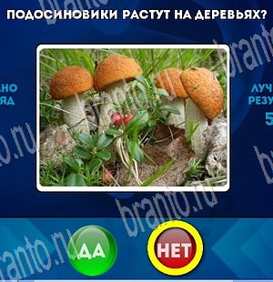 Да или Нет игра ответы Уровень 3773