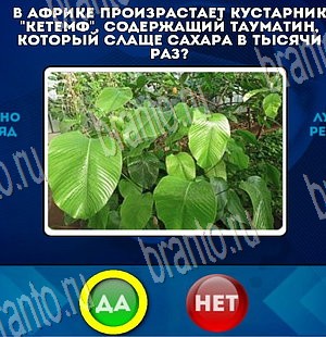 Да или Нет ответы в картинках Уровень 3776