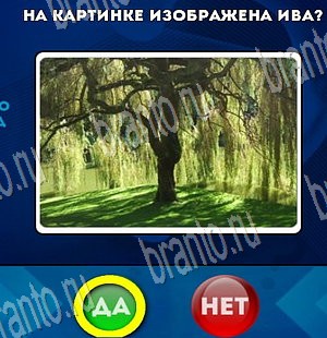Подсказки на игру Да или Нет Уровень 3782