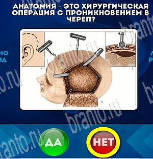 Одноклассники Да или Нет ответы Уровень 3788