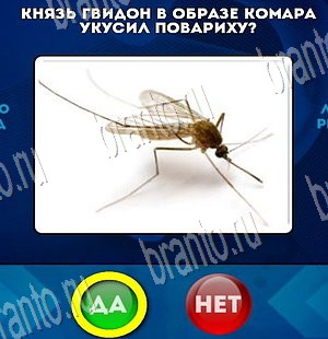 ответы на игру в одноклассниках Да или Нет Уровень 3816