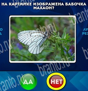 Да или Нет игра ответы в одноклассниках Уровень 3817