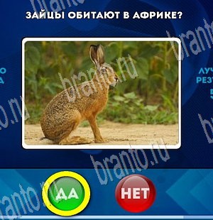 Игра Да или Нет подсказки Уровень 3828
