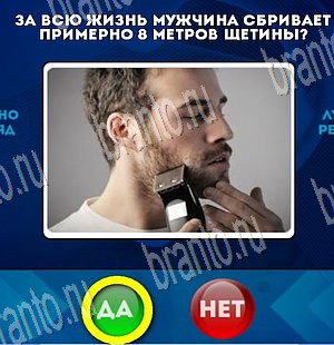 решебник на игру Да или Нет Уровень 3831