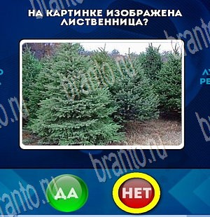 ответы на игру Да или Нет в одноклассниках Уровень 3841
