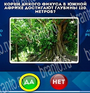 Решения на игру Да или Нет Уровень 3843