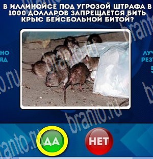 Помощь на игру ВК Да или Нет Уровень 3844
