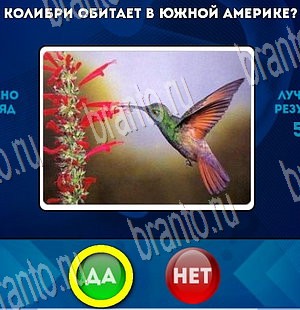 ответы на игру в одноклассниках Да или Нет Уровень 3846