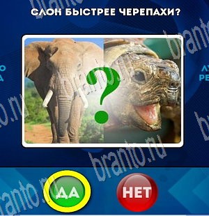 Игра Да или Нет подсказки Уровень 3868