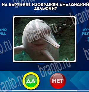 Подсказки на игру Да или Нет Уровень 3872
