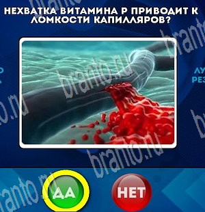 Да или Нет подсказки в контакте Уровень 3879