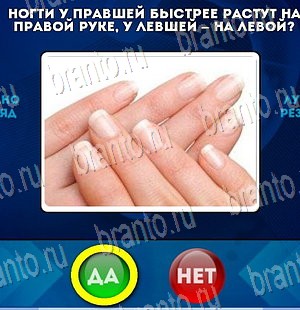 Игра Да или Нет ответы Уровень 3917