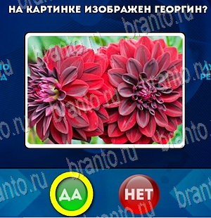 Игра Да или Нет подсказки Уровень 3918