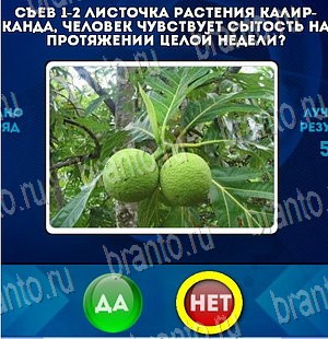 игра Да или Нет помощь Уровень 3919