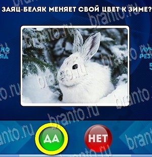 Игра Да или Нет ответы Уровень 3927