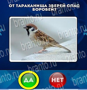 ответы на игру в одноклассниках Да или Нет Уровень 3936