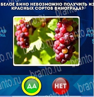 Да или Нет игра ответы в одноклассниках Уровень 3937