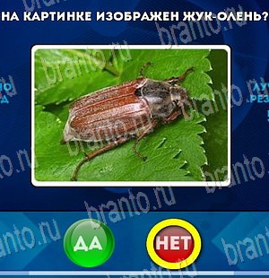 Да или Нет игра подсказки Уровень 3974