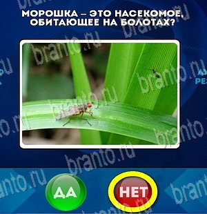 Подсказки на игру Да или Нет Уровень 4022