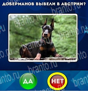 Решения на игру Да или Нет Уровень 4023