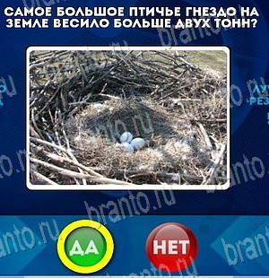 игра Да или Нет помощь Уровень 4039