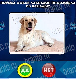 ответы к игре Да или Нет Уровень 4055