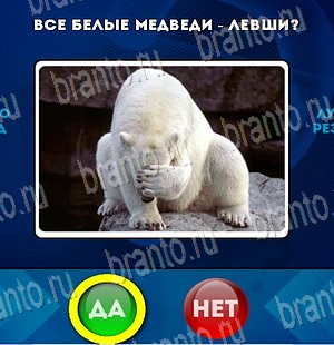 Да или Нет решения Уровень 4062