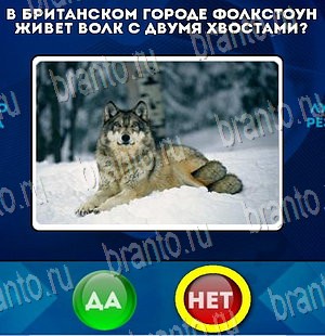игра Да или Нет помощь Уровень 4069