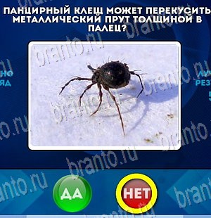 игра Да или Нет ответ на Уровень 4070