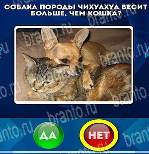 Да или Нет ответы в картинках Уровень 4076